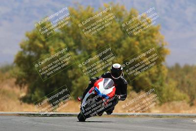 media/May-15-2022-SoCal Trackdays (Sun) [[33a09aef31]]/Turn 7 (1145am)/